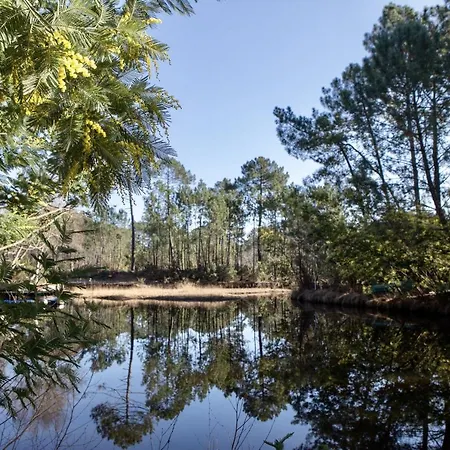 شاليه Maison Bois Au Bord Du *