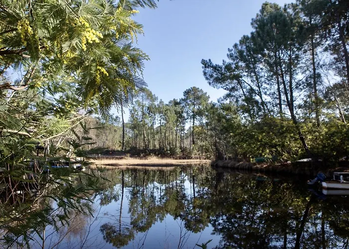 شاليه Maison Bois Au Bord Du *