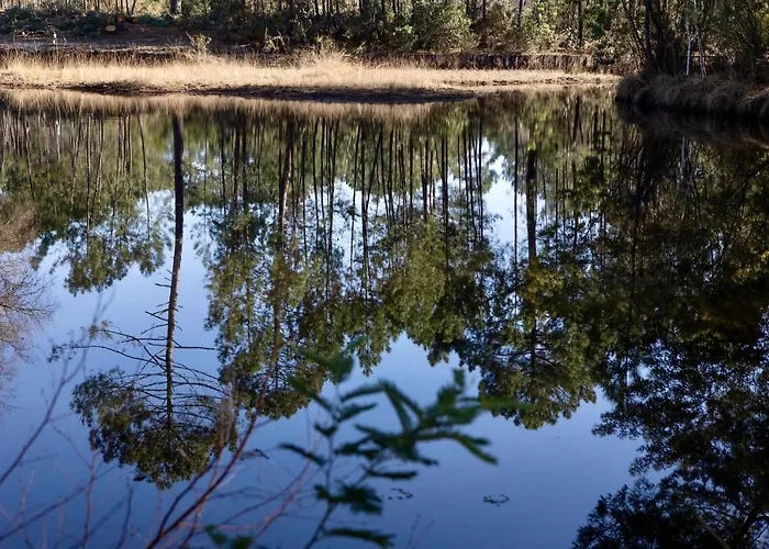 Maison Bois Au Bord Du شاليه لاكانو