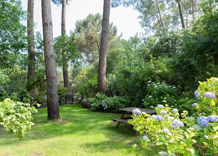 Maison Bois Au Bord Du *