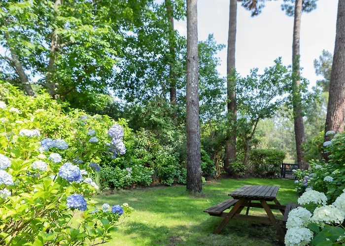Maison Bois Au Bord Du *