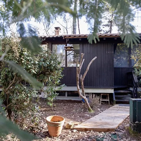 Maison Bois Au Bord Du Chalé Lacanau