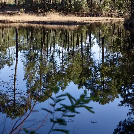 Maison Bois Au Bord Du Chalé Lacanau