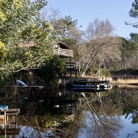Maison Bois Au Bord Du * Lacanau