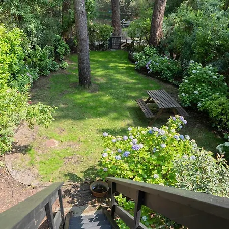 Maison Bois Au Bord Du Chalet