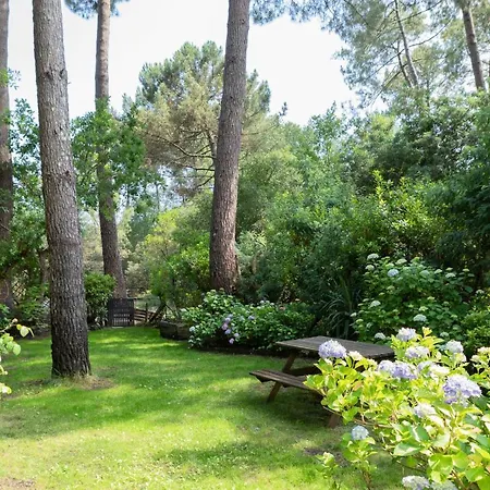 Maison Bois Au Bord Du *