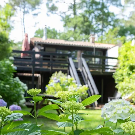 Maison Bois Au Bord Du