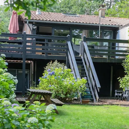Maison Bois Au Bord Du Chalet *