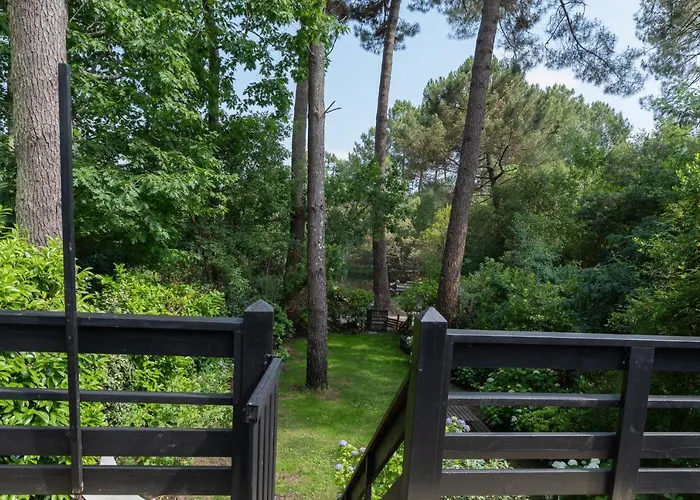 Chalet Maison Bois Au Bord Du *