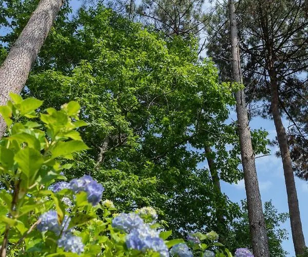 Maison Bois Au Bord Du Chalet *