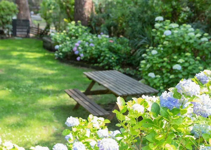 Maison Bois Au Bord Du Lacanau